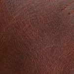 Hauser Logo Stitch